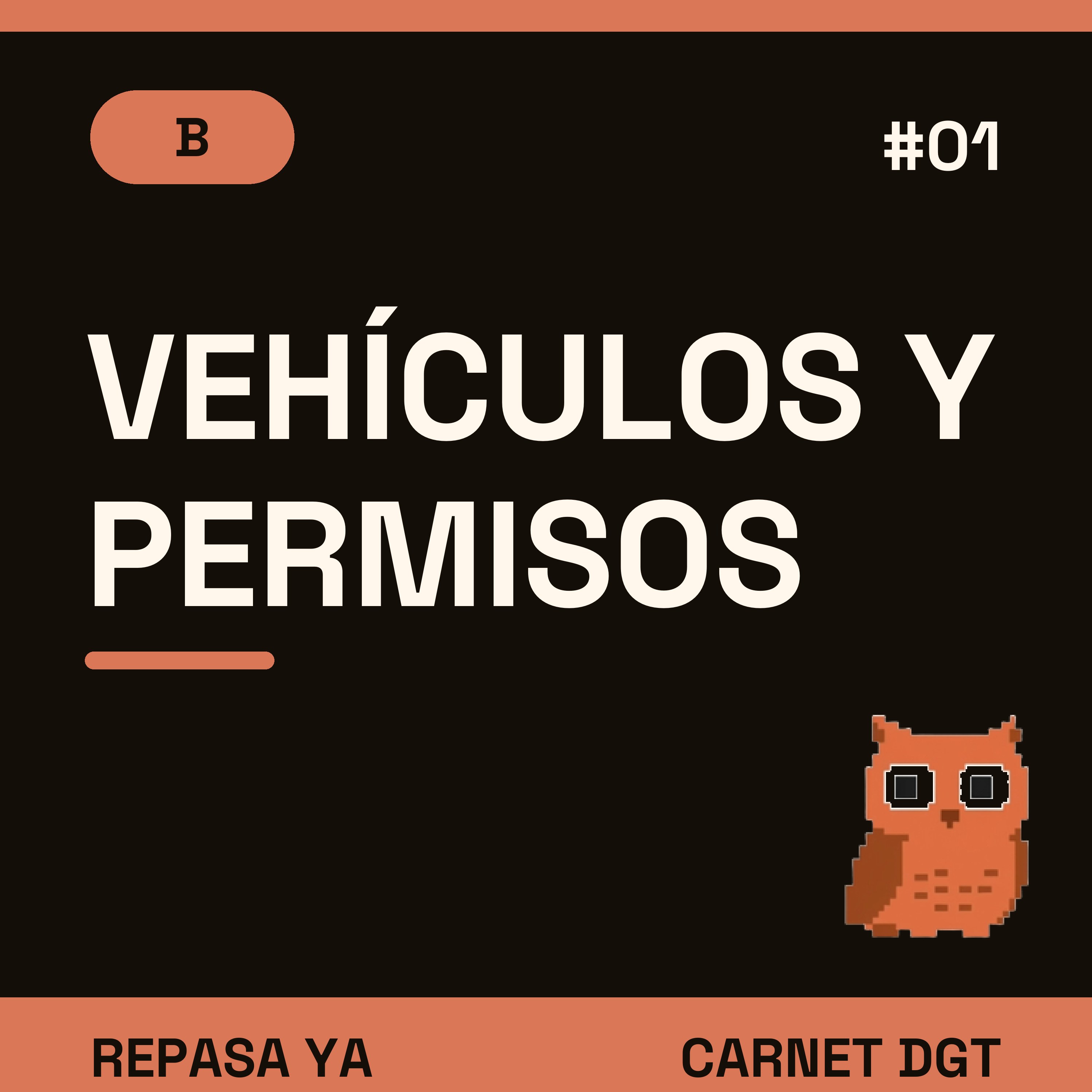 Portada de Carnet de Conducir DGT