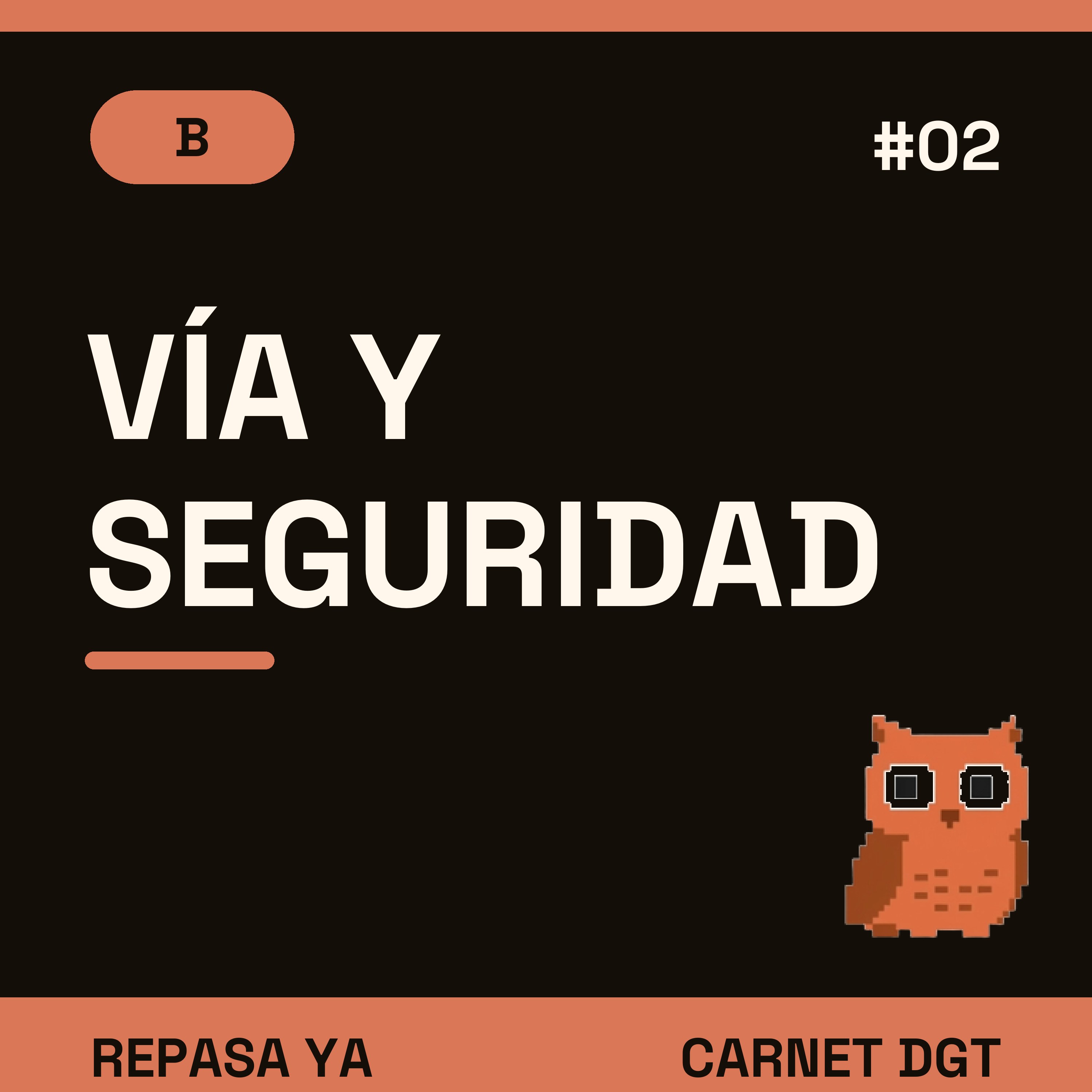 Portada de Carnet de Conducir DGT
