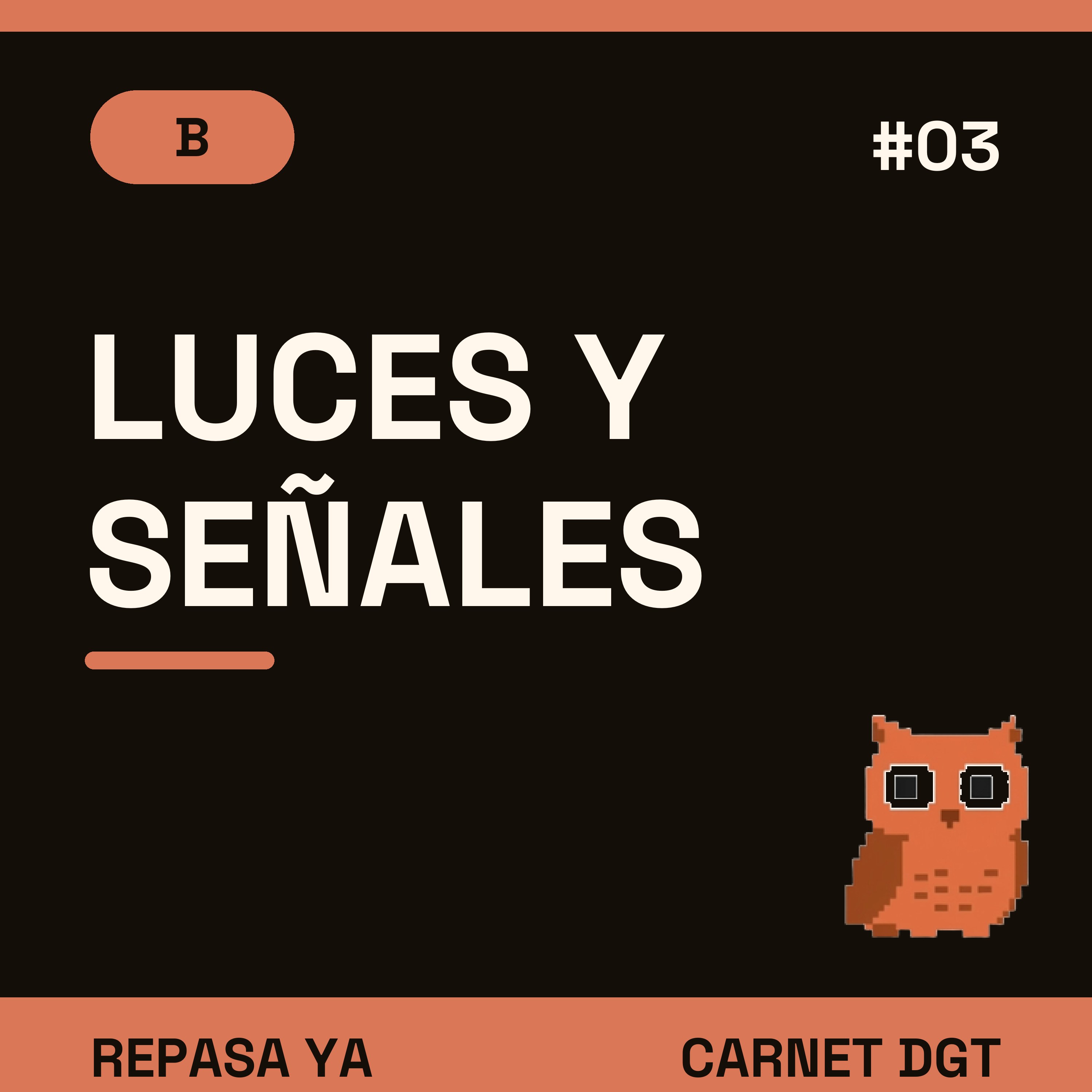 Portada de Carnet de Conducir DGT