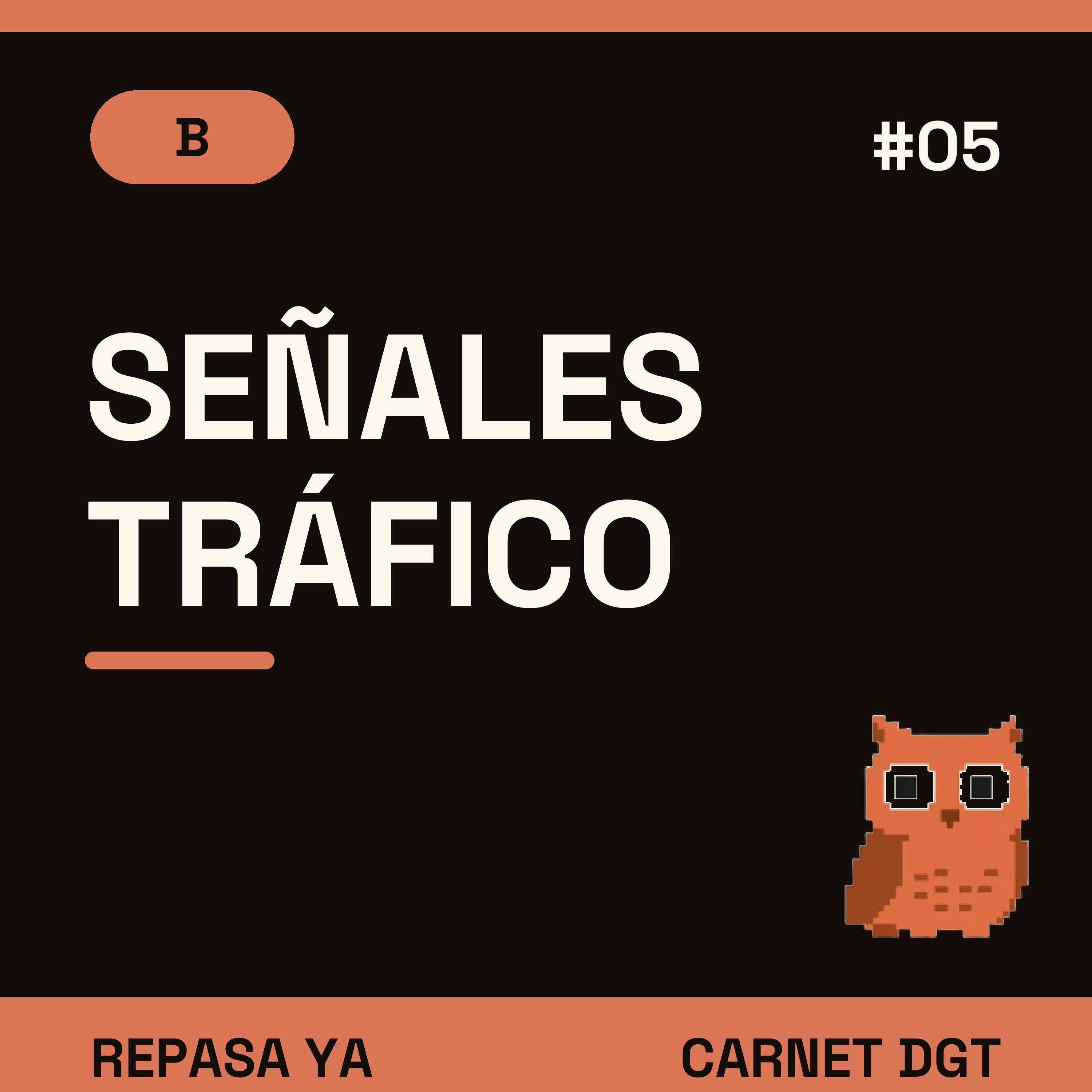 Portada de Carnet de Conducir DGT