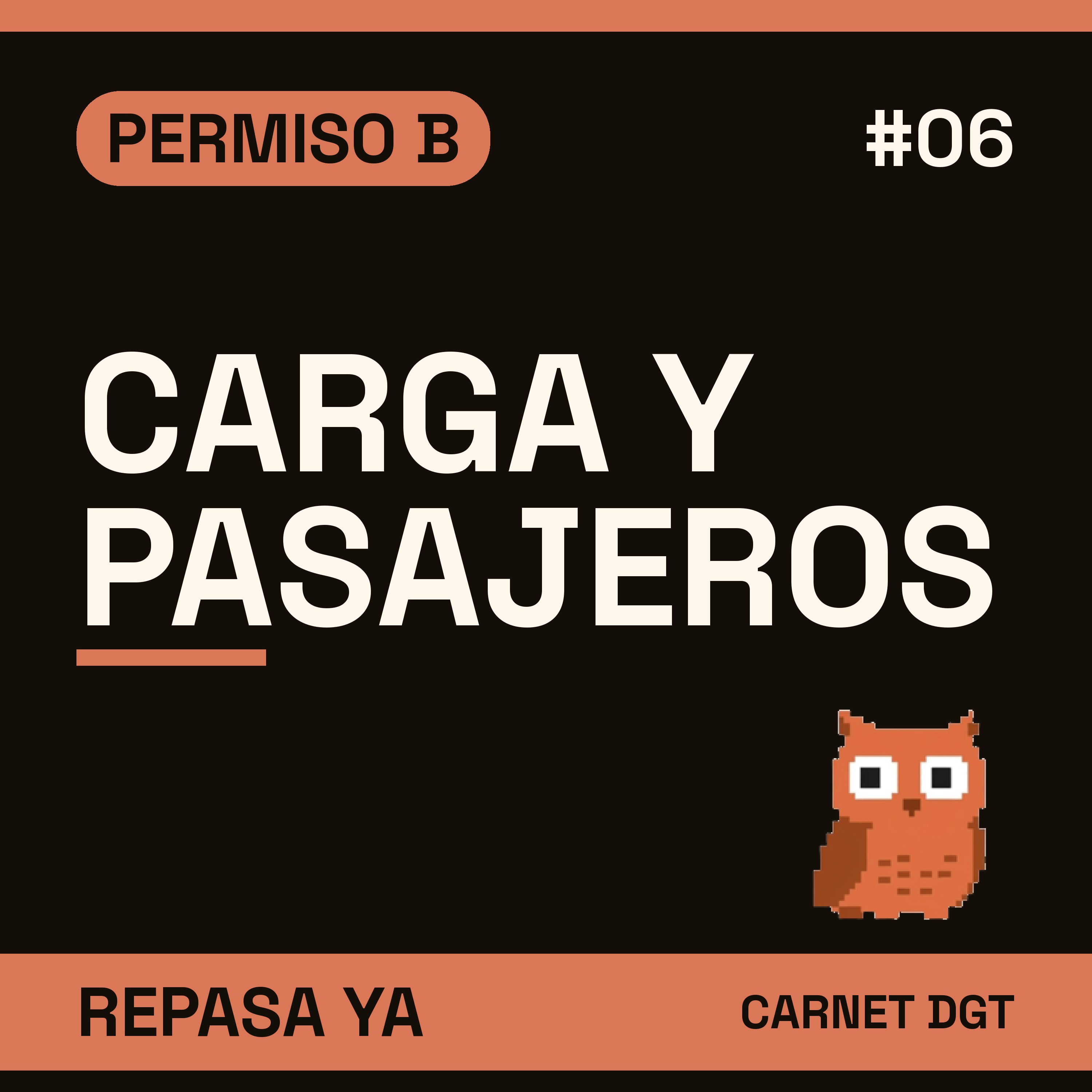 Portada de Carnet de Conducir DGT