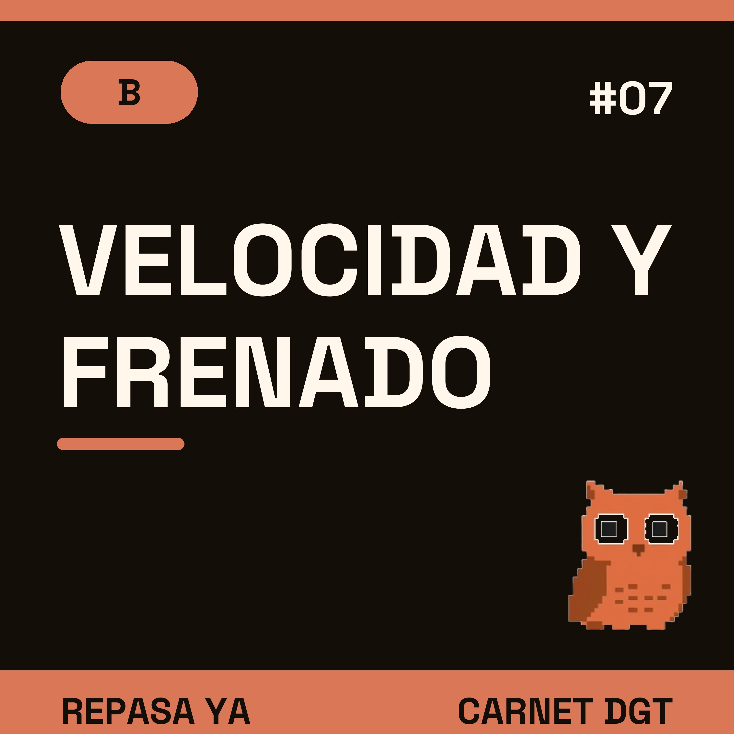Portada de Carnet de Conducir DGT