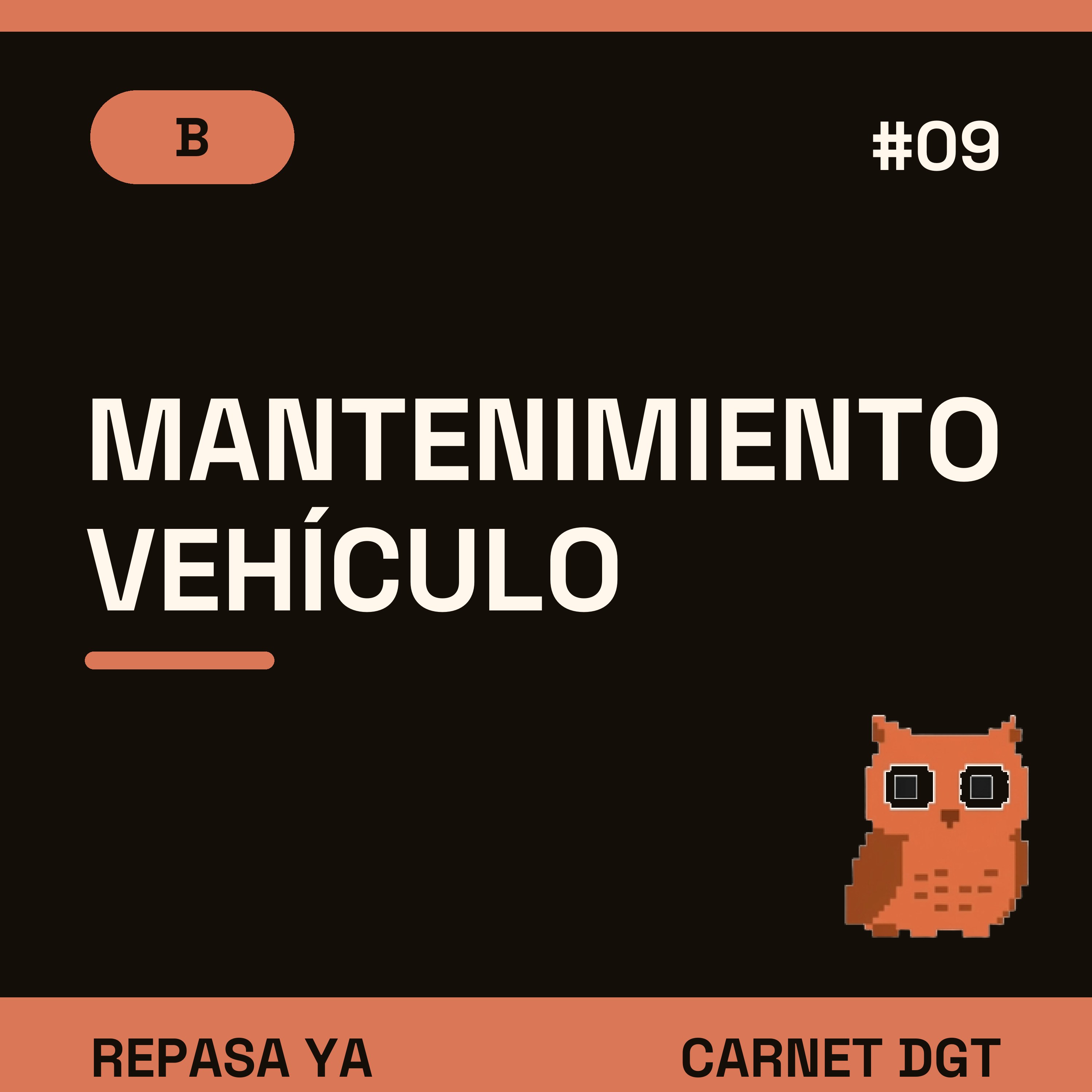 Portada de Carnet de Conducir DGT