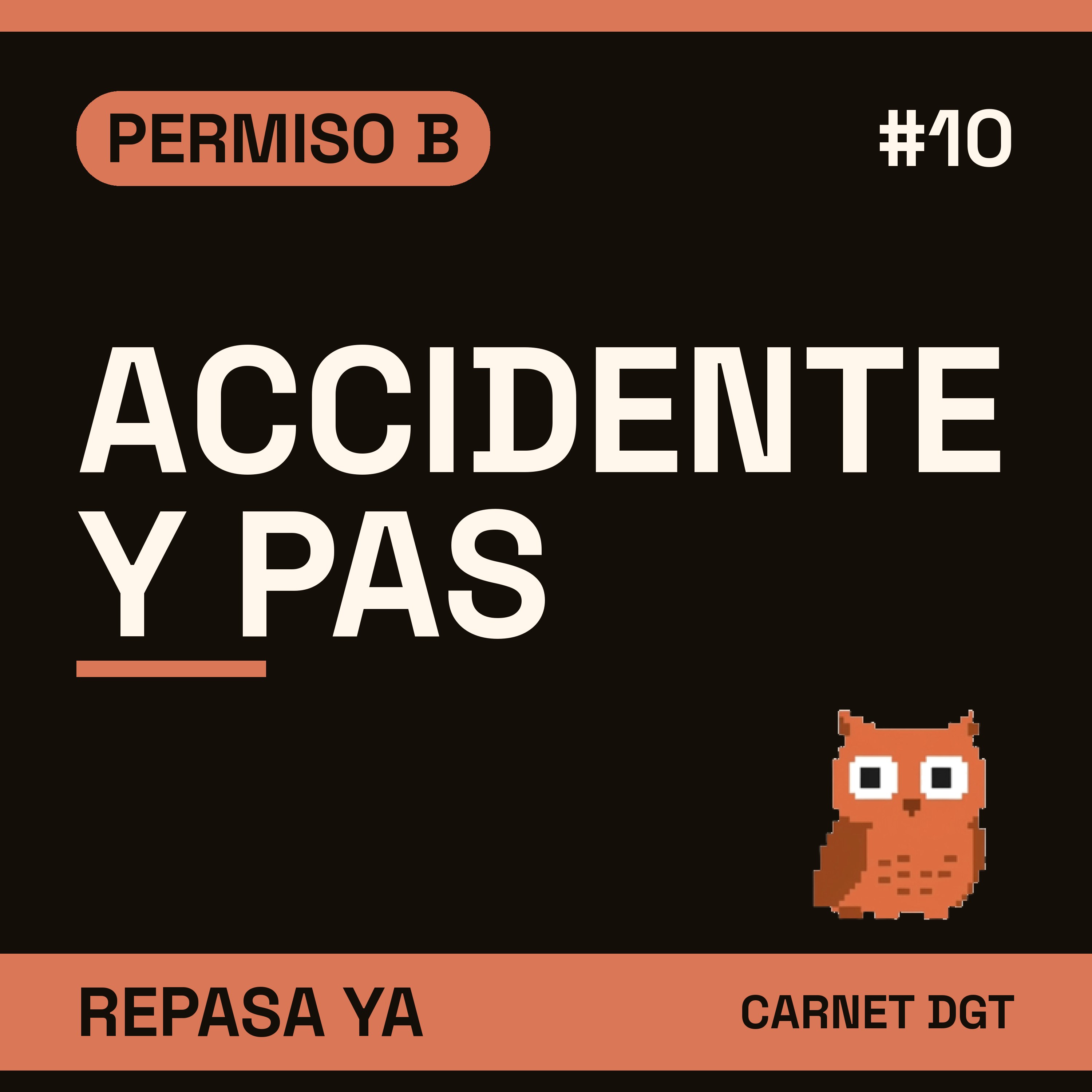 Portada de Carnet de Conducir DGT