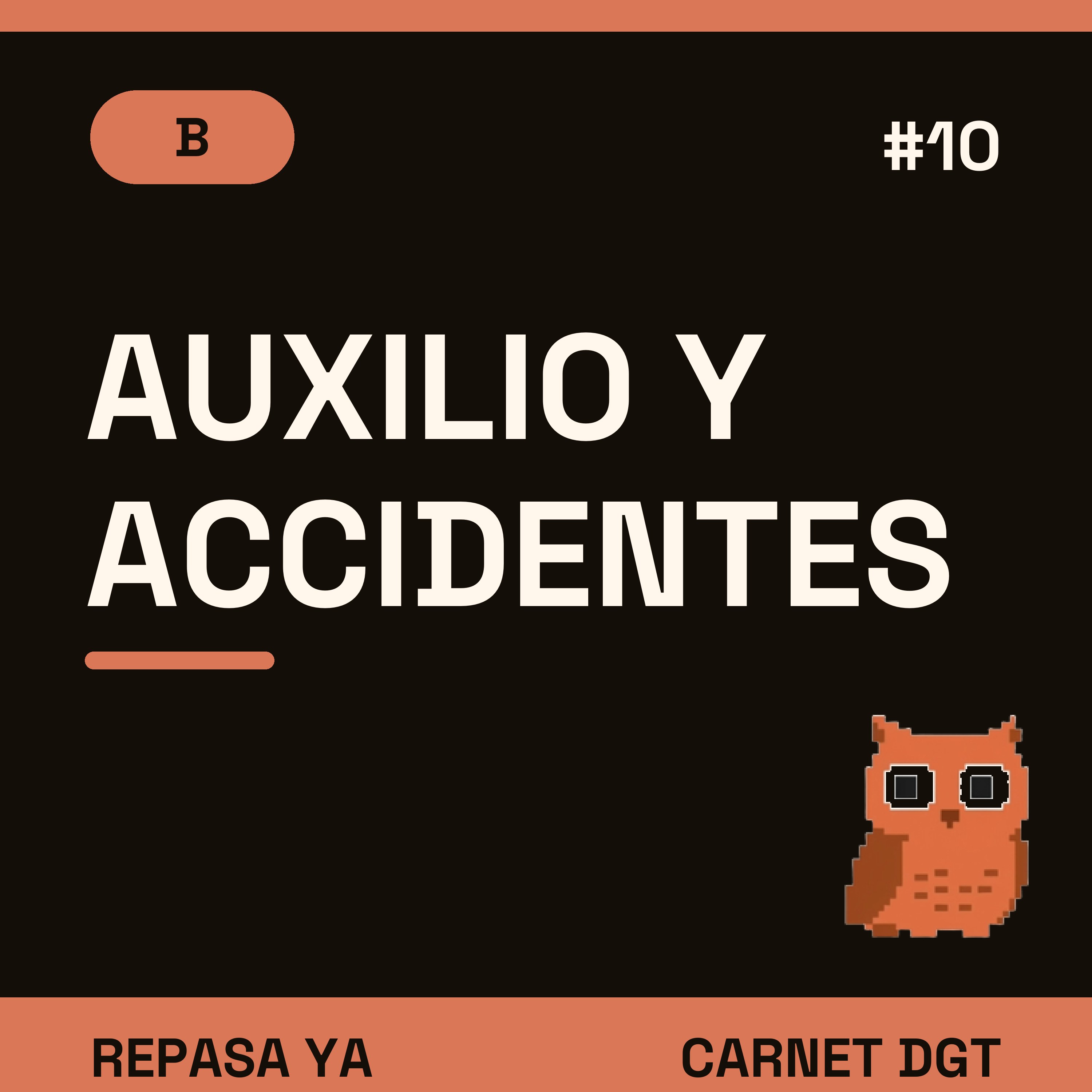 Portada de Carnet de Conducir DGT