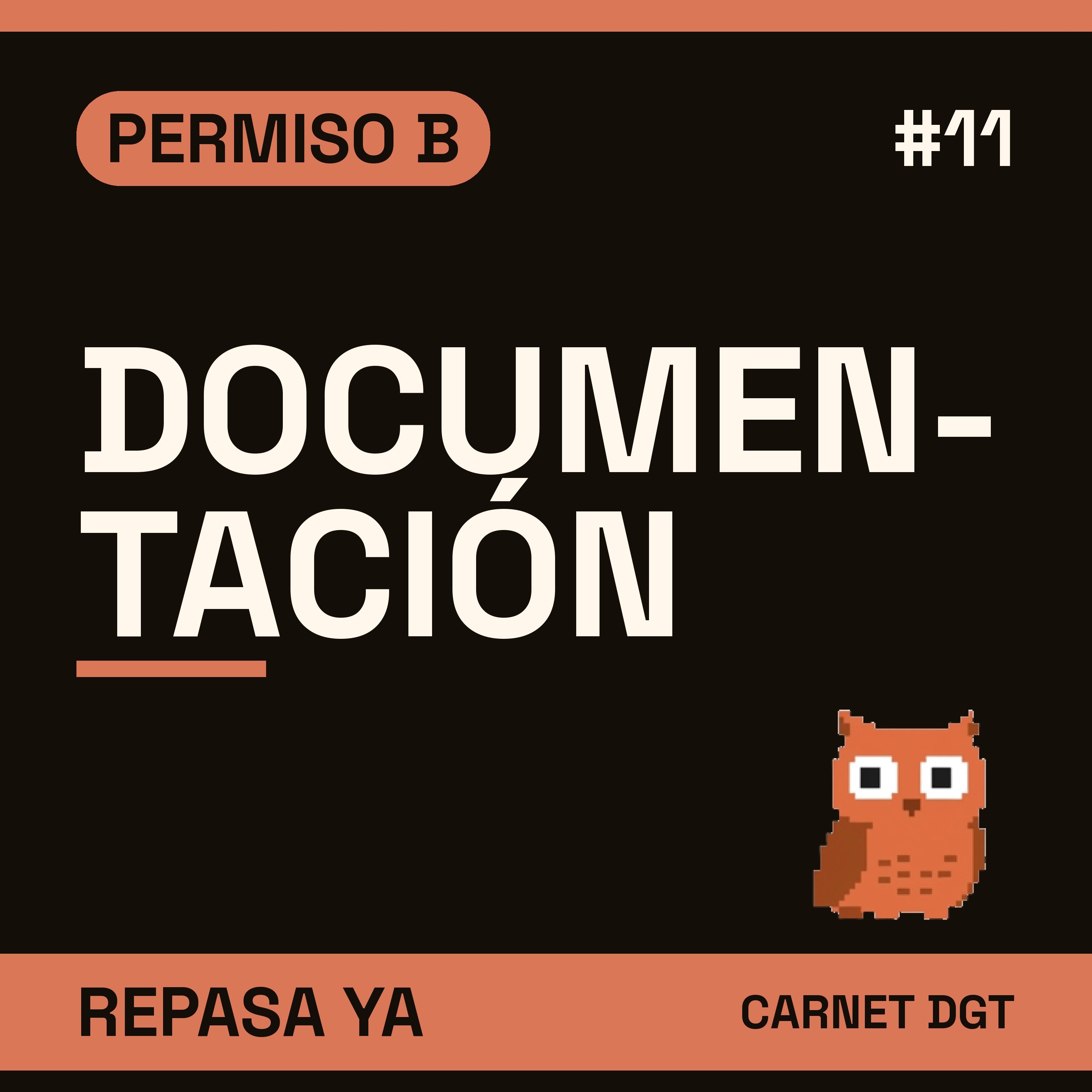 Portada de Carnet de Conducir DGT