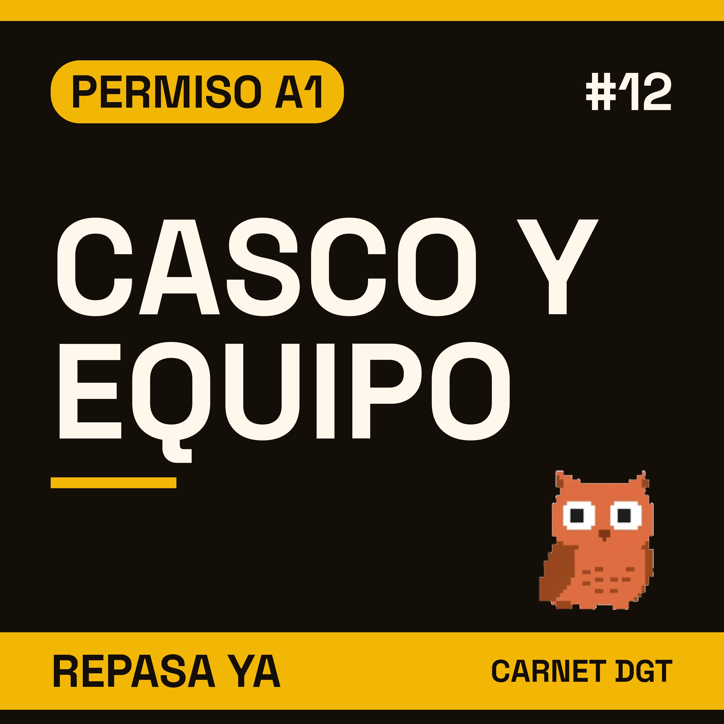 Portada de Carnet de Conducir DGT