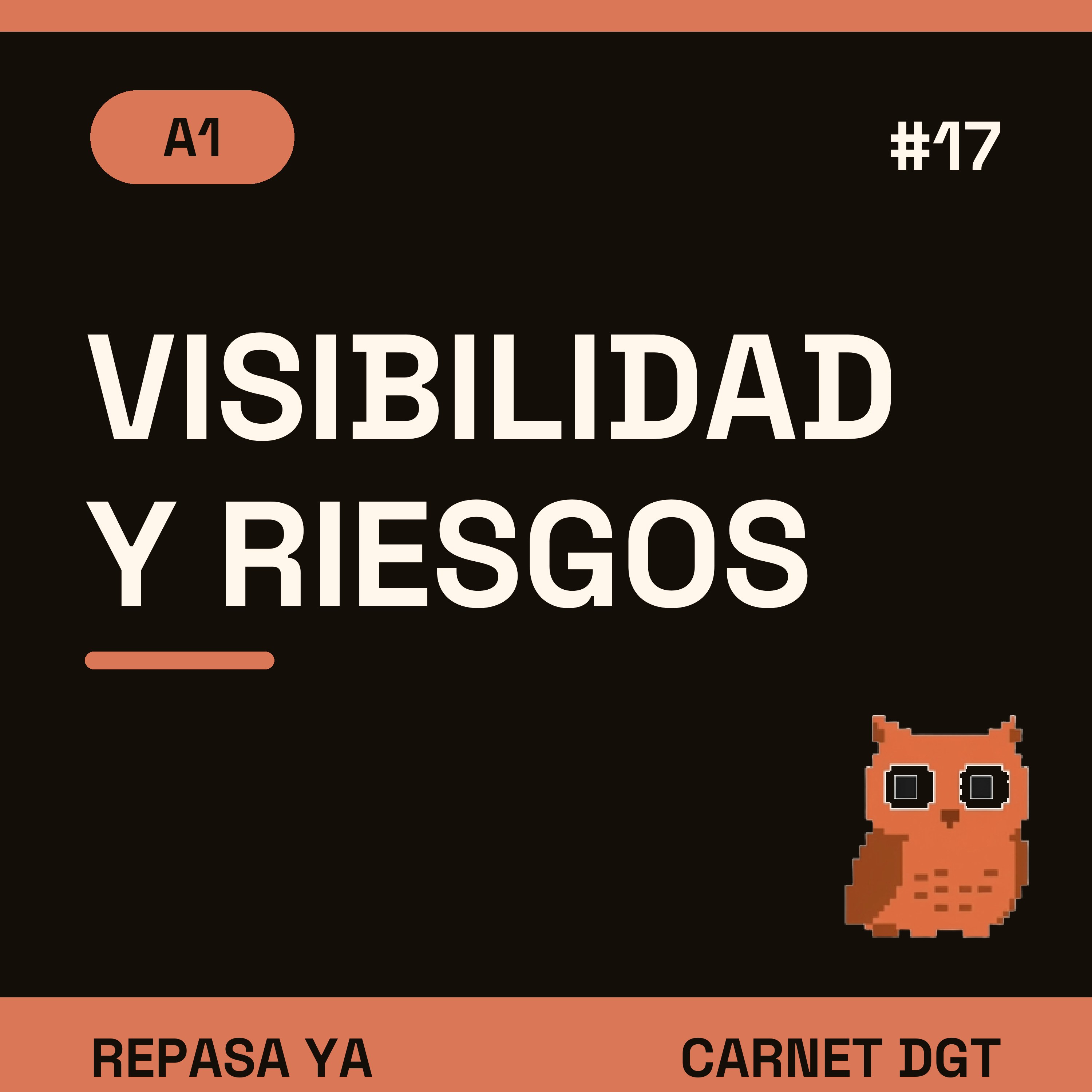Portada de Carnet de Conducir DGT