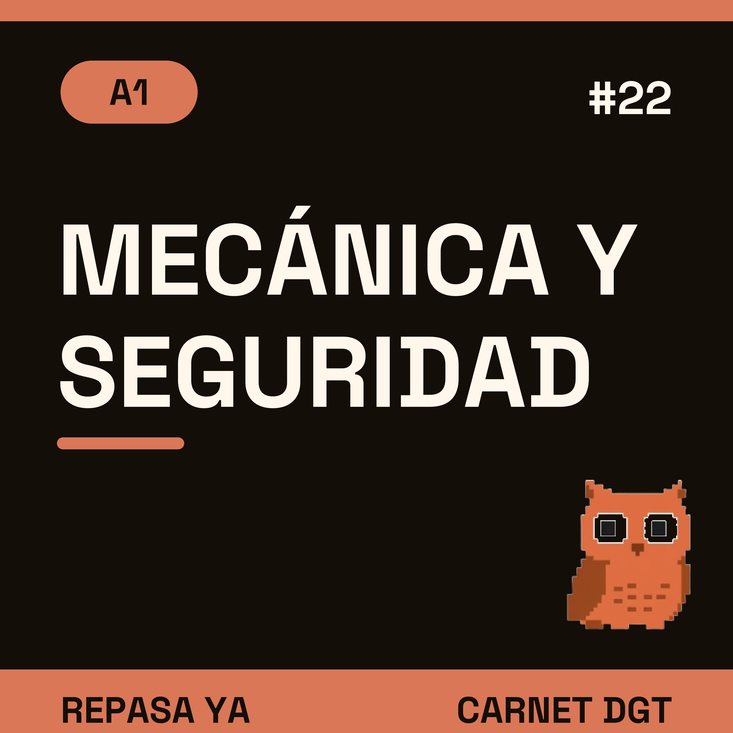 Portada de Carnet de Conducir DGT