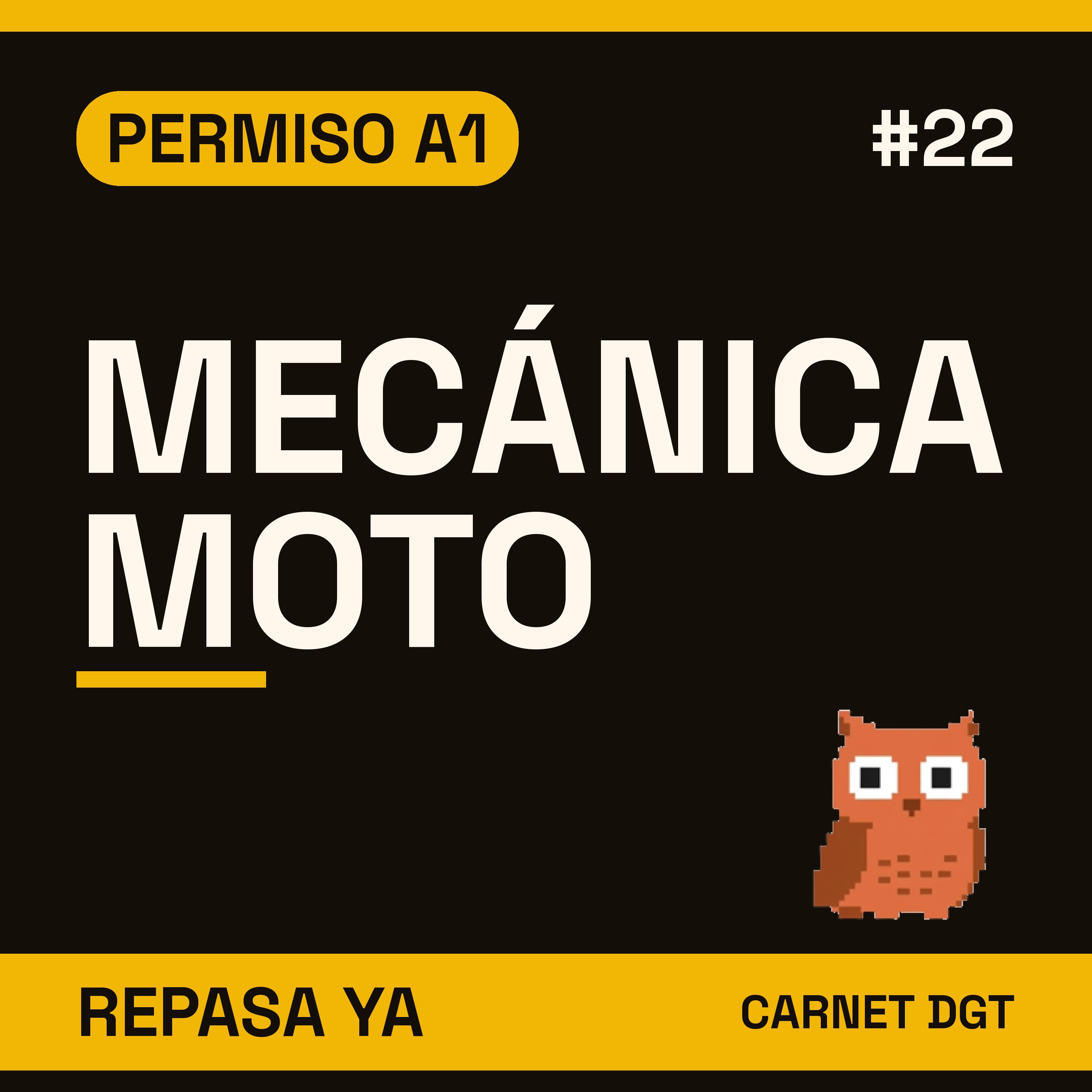 Portada de Carnet de Conducir DGT