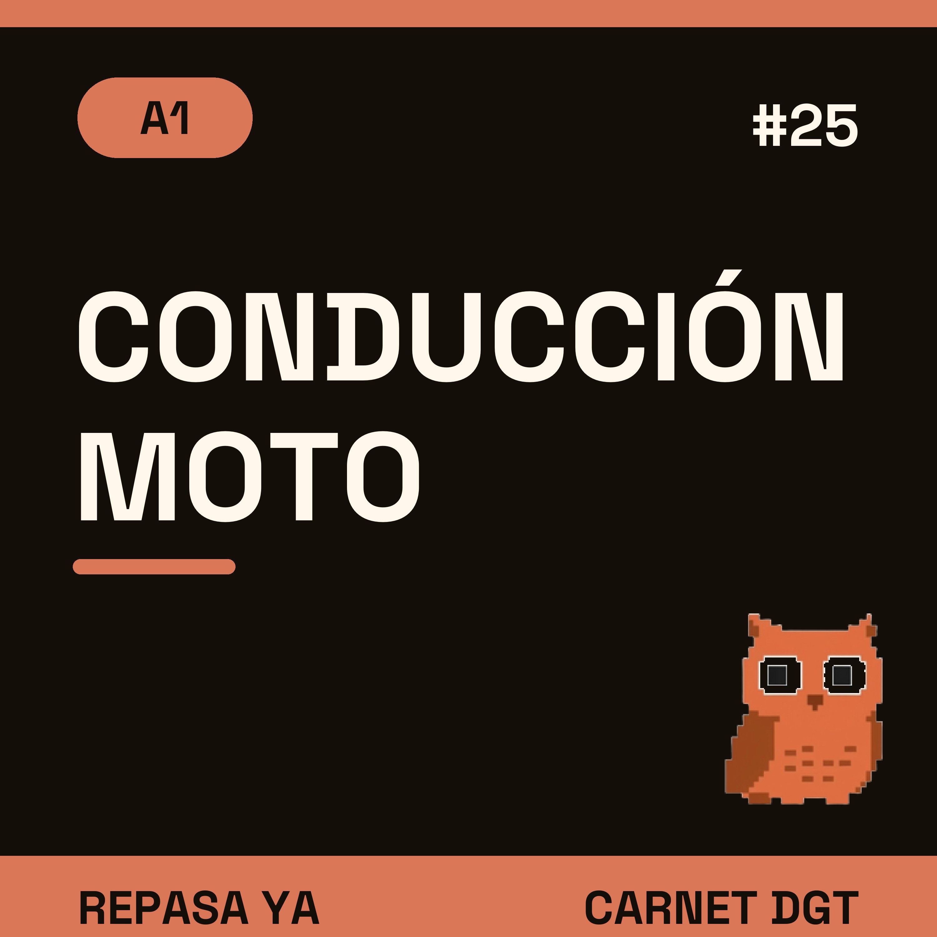 Portada de Carnet de Conducir DGT