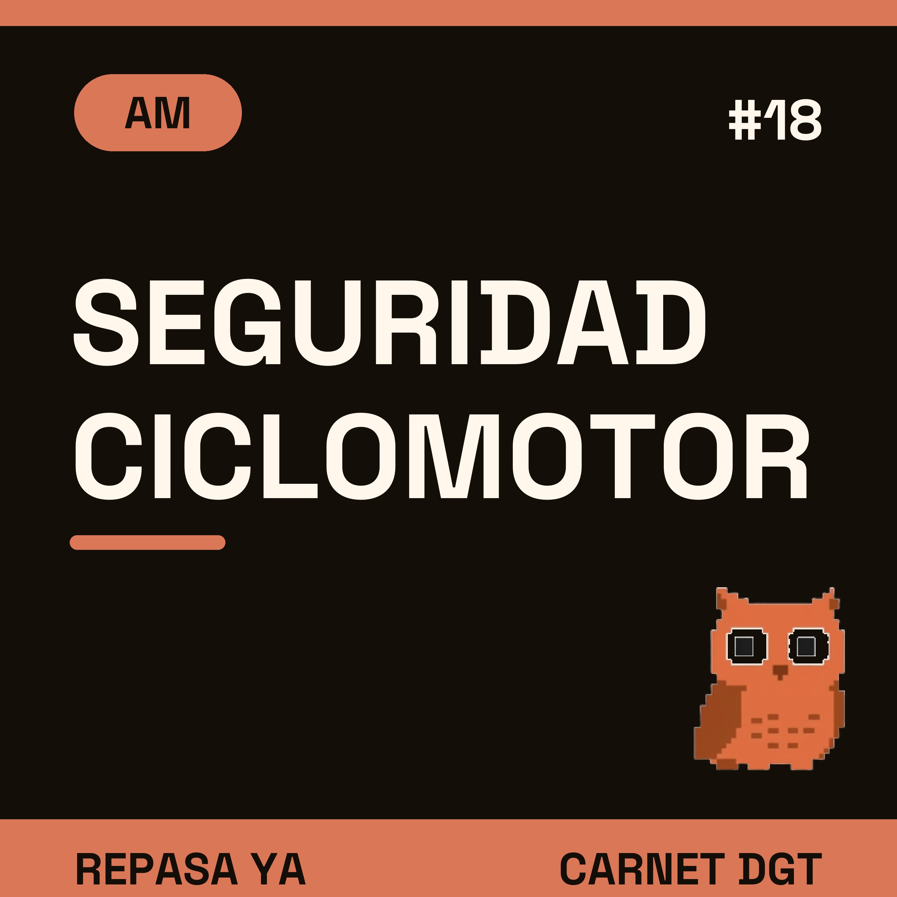 Portada de Carnet de Conducir DGT
