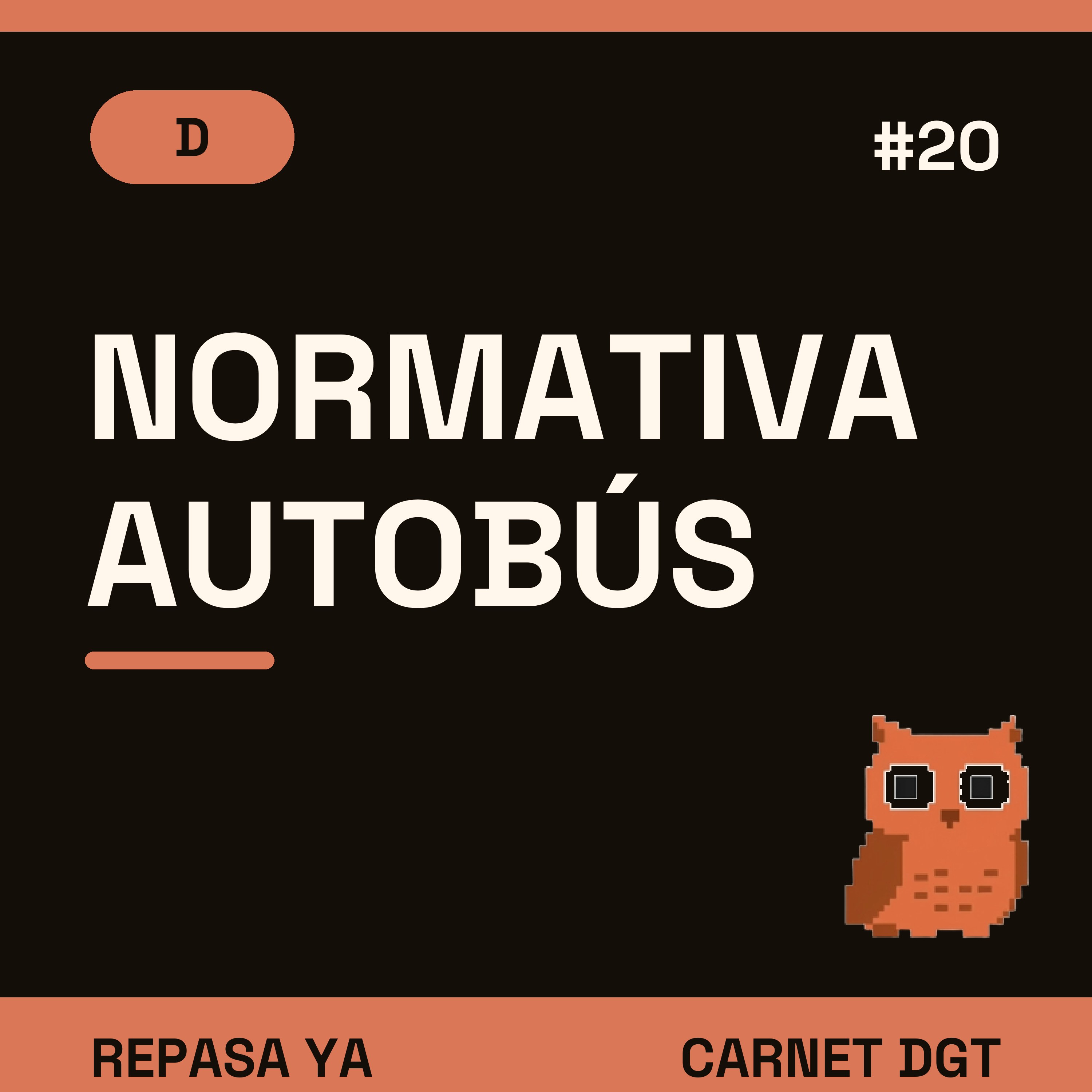 Portada de Carnet de Conducir DGT