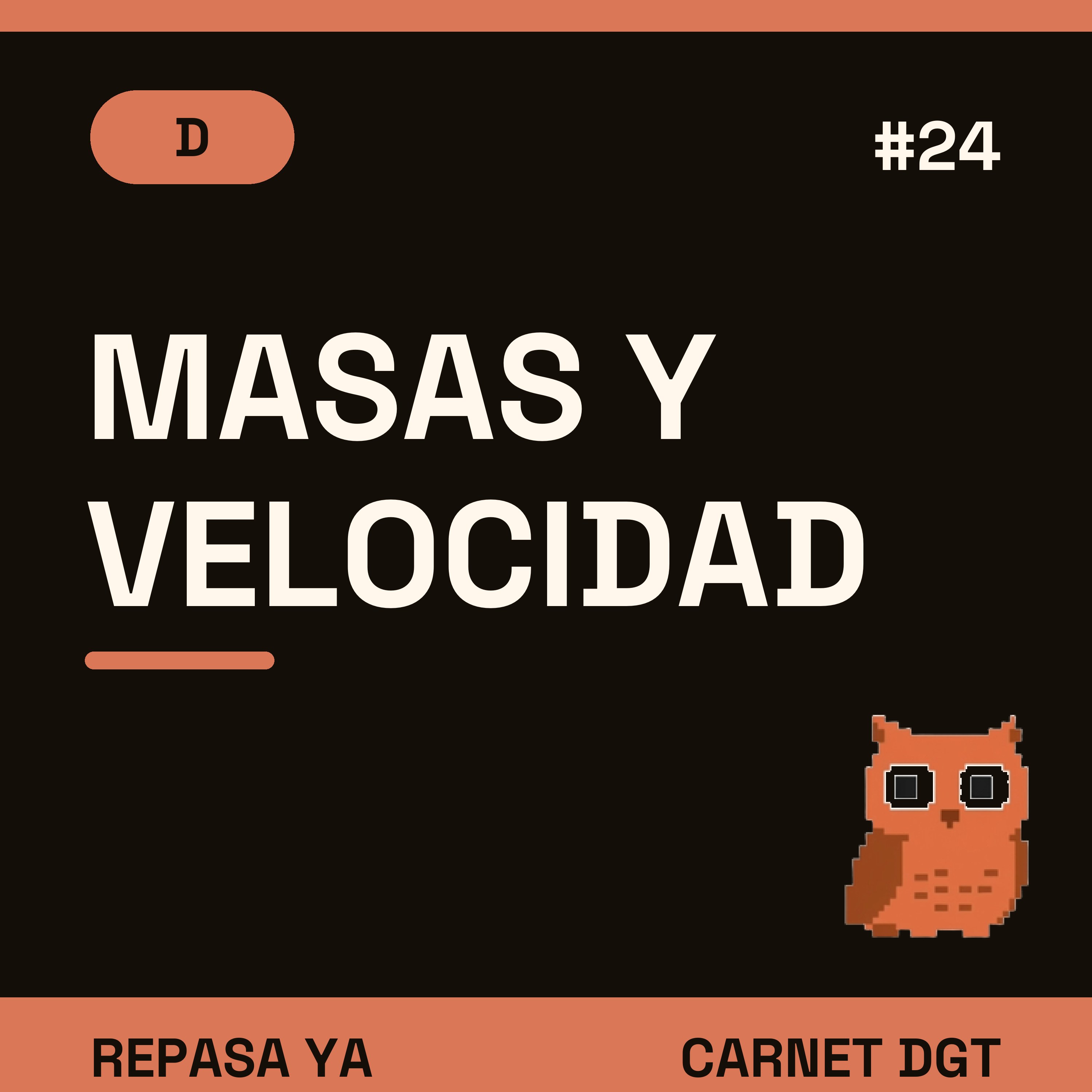 Portada de Carnet de Conducir DGT
