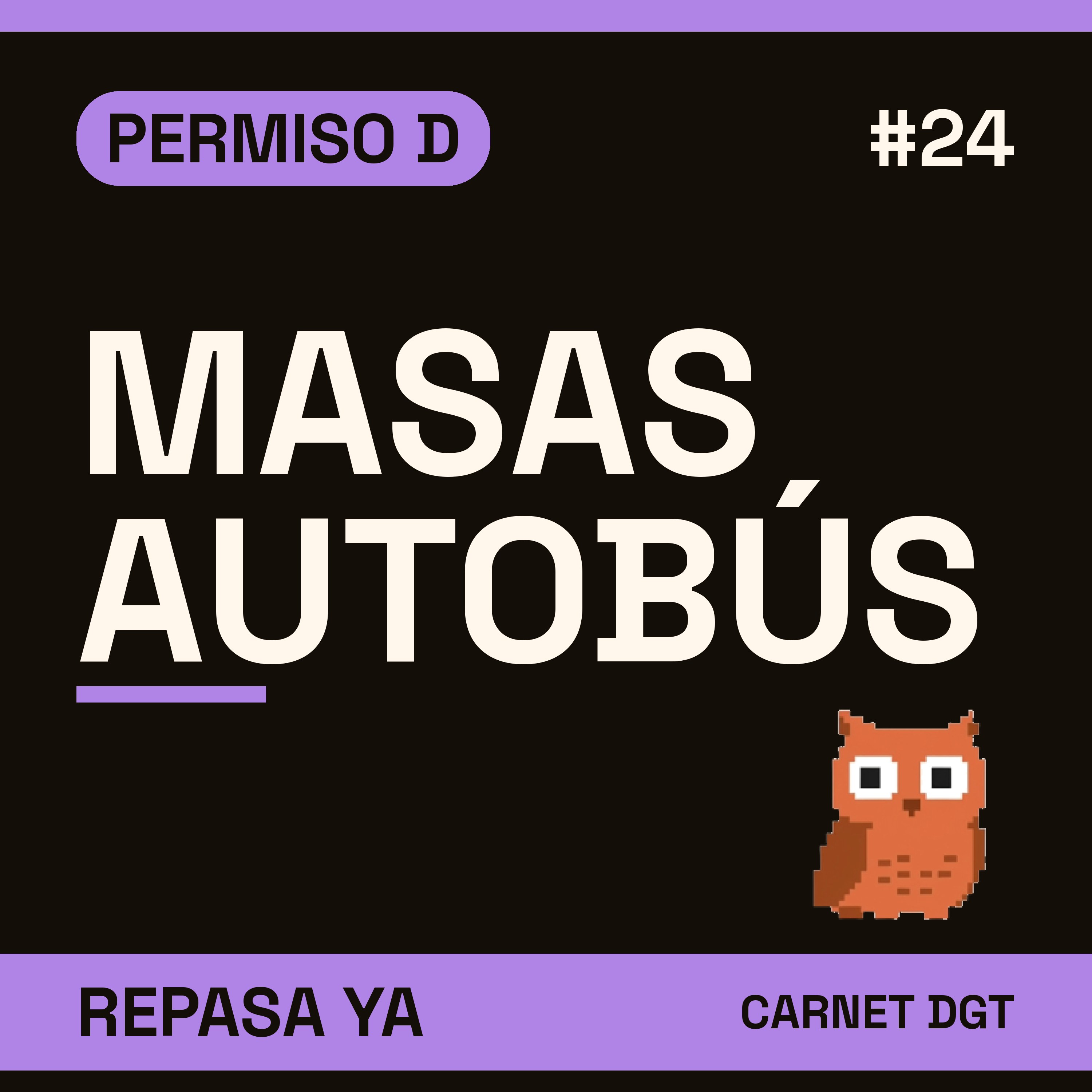 Portada de Carnet de Conducir DGT