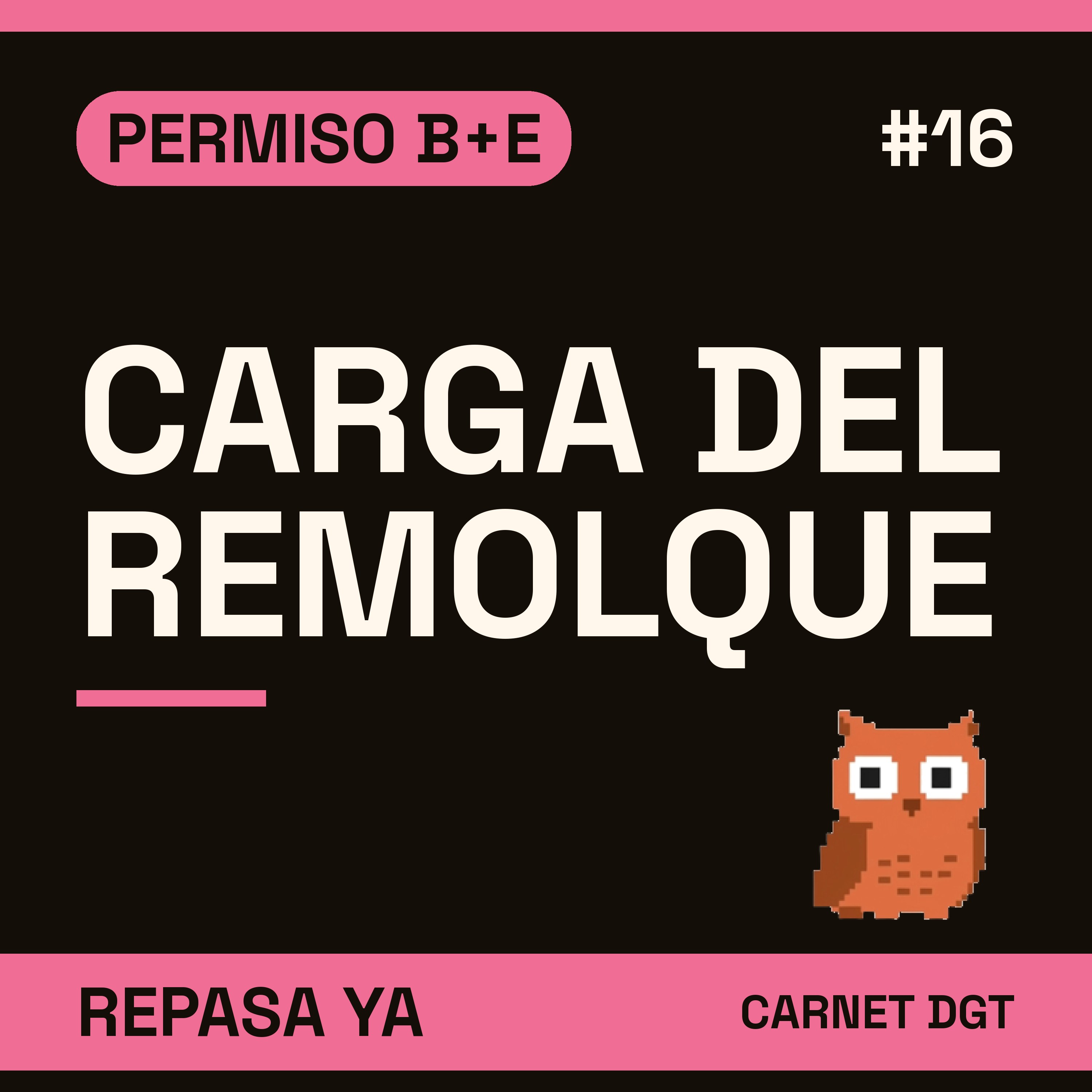 Portada de Carnet de Conducir DGT