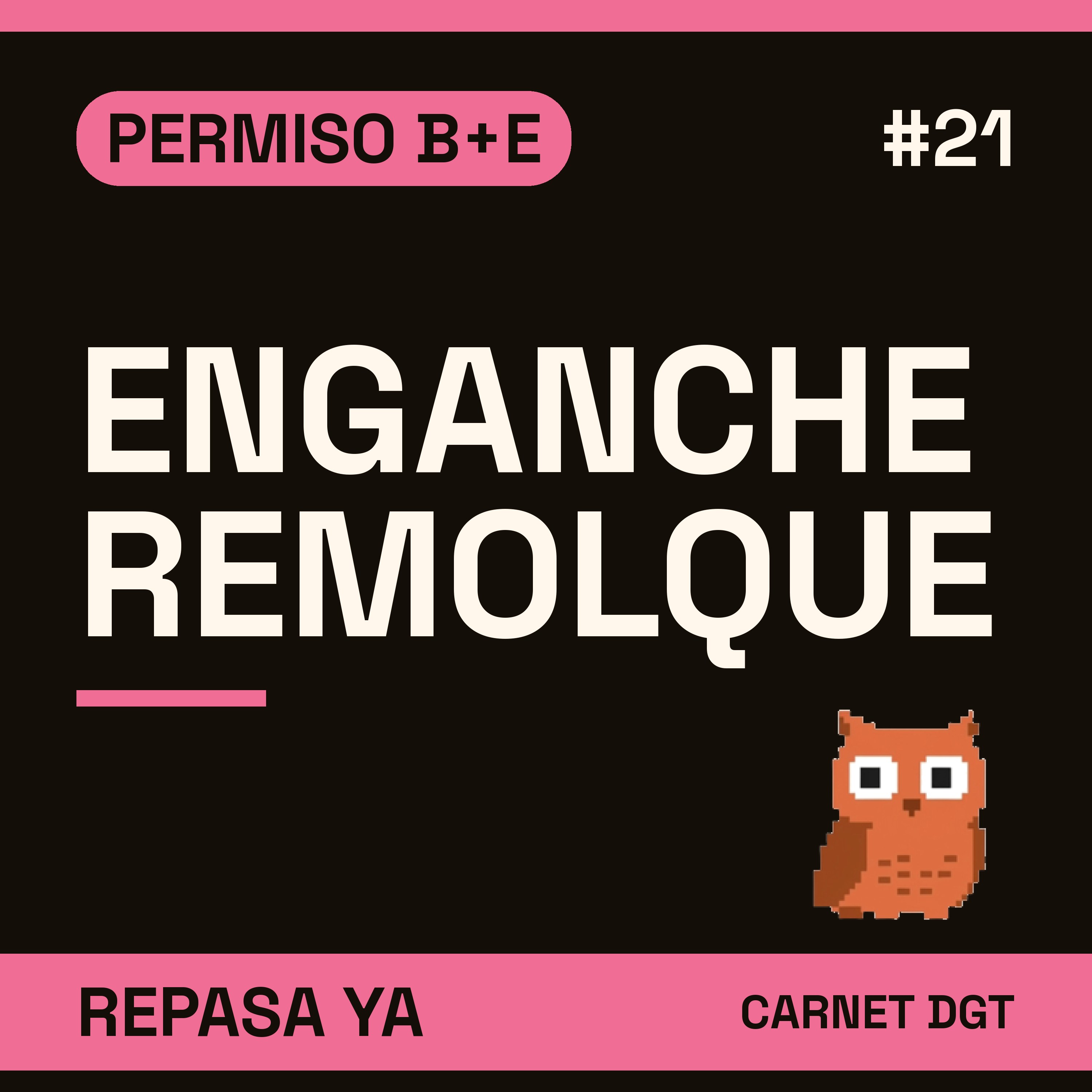Portada de Carnet de Conducir DGT